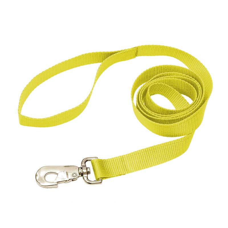 Nylon Leash, - Lucky Pet